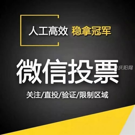 人工投票团队群哪里找呢_投票人工平台_人工投票团队联系方式