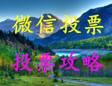 专业人工投票微信_微信人工投票免费_投票人工微信免费吗