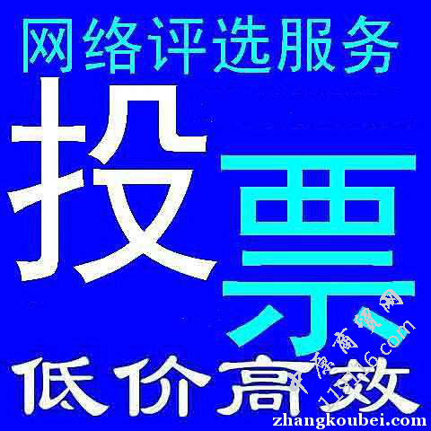 微信人工投票70元1000票_请问微信人工投票什么价格_投票请问人工微信价格怎么算