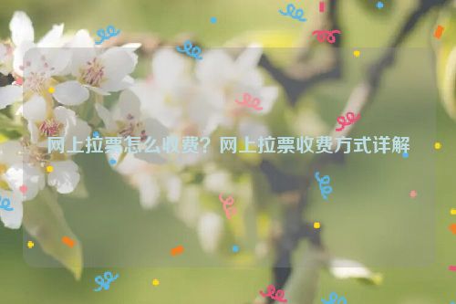 网上拉票怎么收费？网上拉票收费方式详解