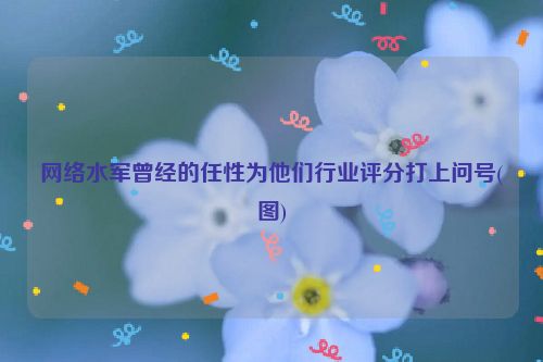 网络水军曾经的任性为他们行业评分打上问号(图)