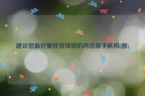 建议您最好要找资深型的网络推手机构(图)