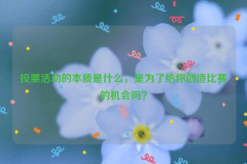 投票活动的本质是什么，是为了给你创造比赛的机会吗？