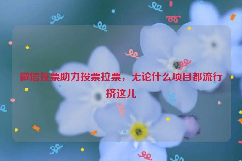 微信投票助力投票拉票，无论什么项目都流行挤这儿