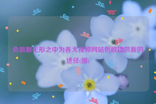 会员制无形之中为各大视频网站创收提供新的途径(图)