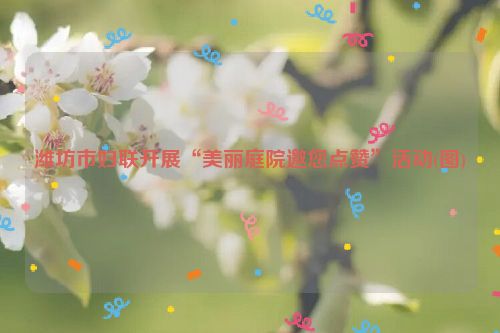 潍坊市妇联开展“美丽庭院邀您点赞”活动(图)
