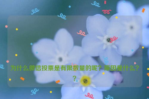 

为什么微信投票是有限数量的呢？原因是什么？？
