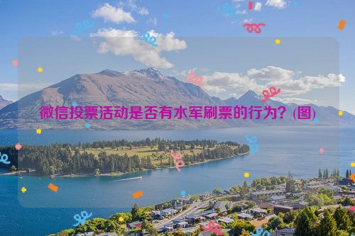 微信投票活动是否有水军刷票的行为？(图)